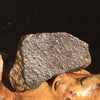 NWA 869 Meteorite Chondrite 16.1 grams-Moldavite Life