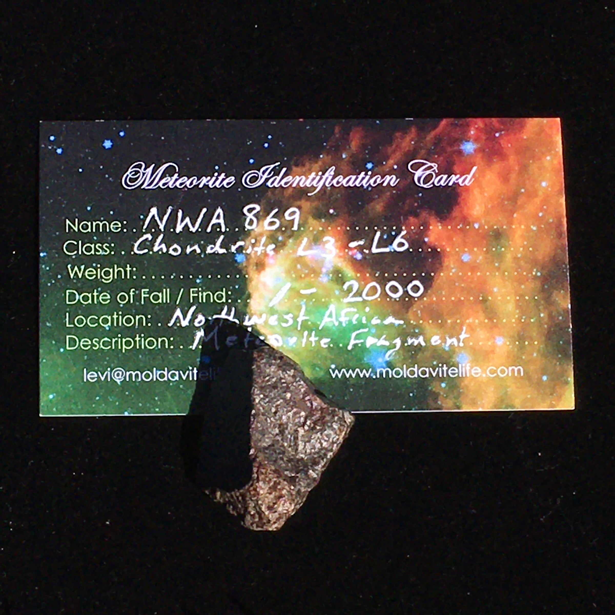 NWA 869 Meteorite Chondrite 16.1 grams-Moldavite Life