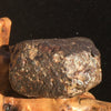 NWA 869 Meteorite Chondrite 59 grams-Moldavite Life