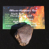 NWA 869 Meteorite Chondrite 59 grams-Moldavite Life