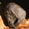 NWA 869 Meteorite Chondrite 33.4 grams-Moldavite Life