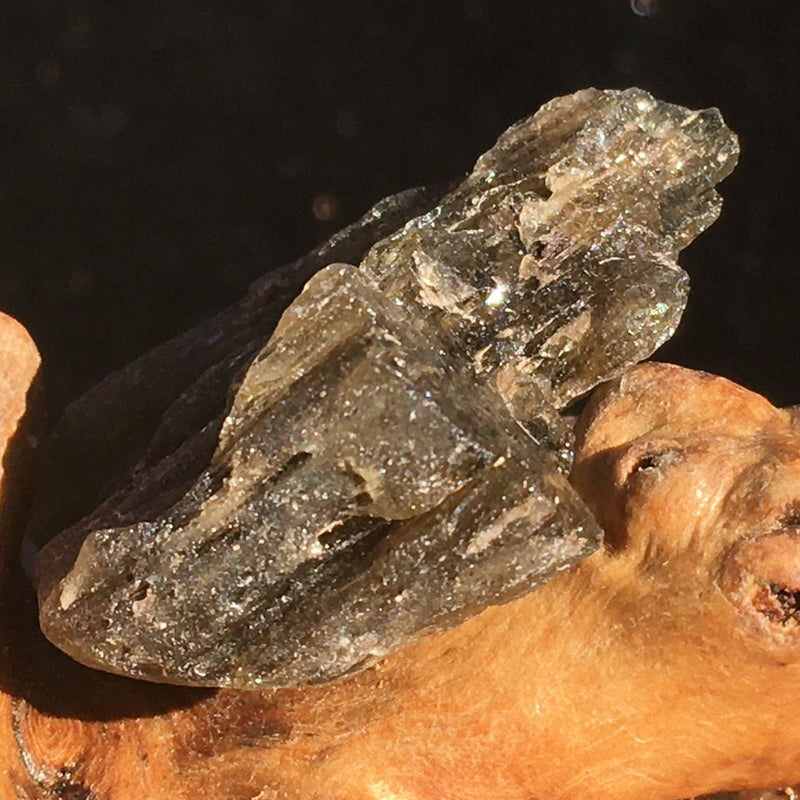 Darwinite Darwin Glass Tektite 4 grams-Moldavite Life