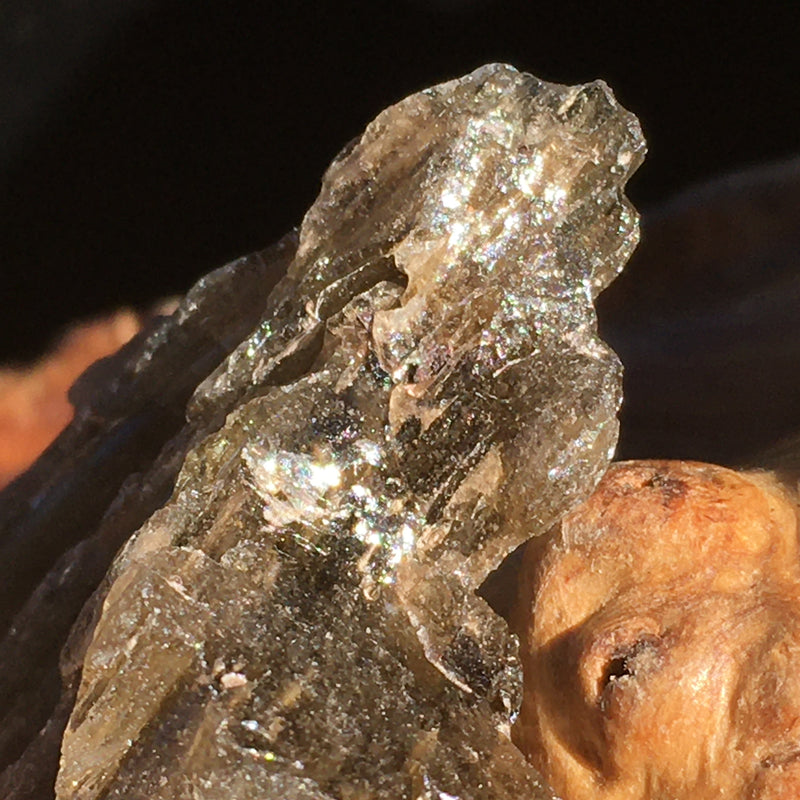 Darwinite Darwin Glass Tektite 4 grams-Moldavite Life