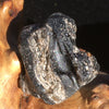 Darwinite Darwin Glass Tektite 6.5 grams-Moldavite Life