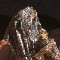Darwinite Darwin Glass Tektite 5.5 grams-Moldavite Life