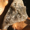 Darwinite Darwin Glass Tektite 3 grams-Moldavite Life