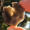 Darwinite Darwin Glass Tektite 3.8 grams-Moldavite Life