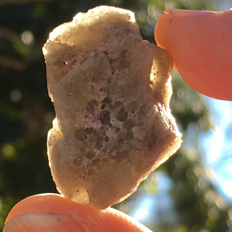 Darwinite Darwin Glass Tektite 3.9 grams-Moldavite Life