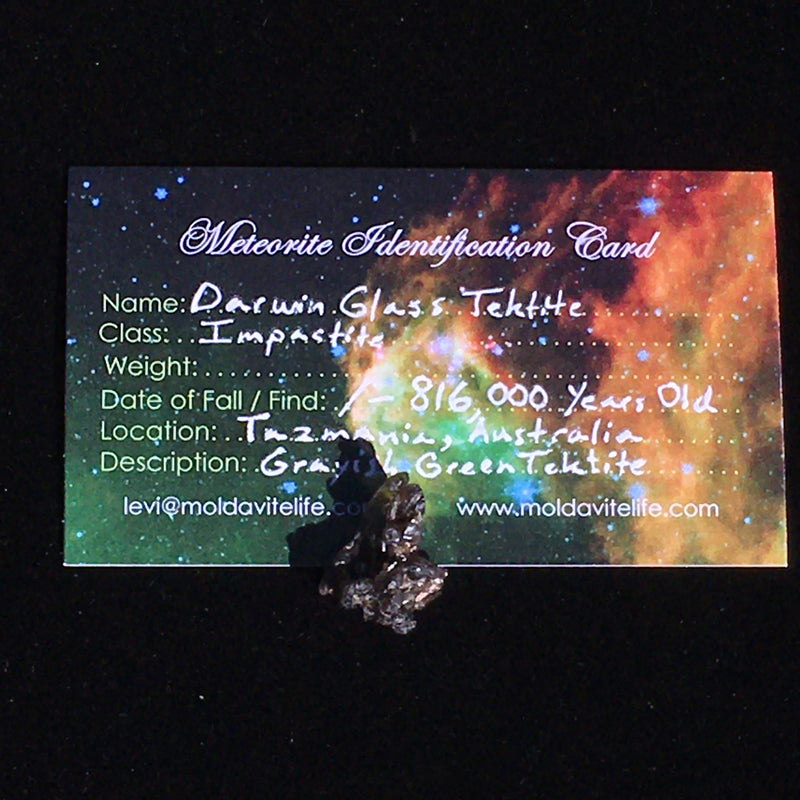 Darwinite Darwin Glass Tektite 1.3 grams-Moldavite Life