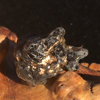 Darwinite Darwin Glass Tektite 4.3 grams-Moldavite Life