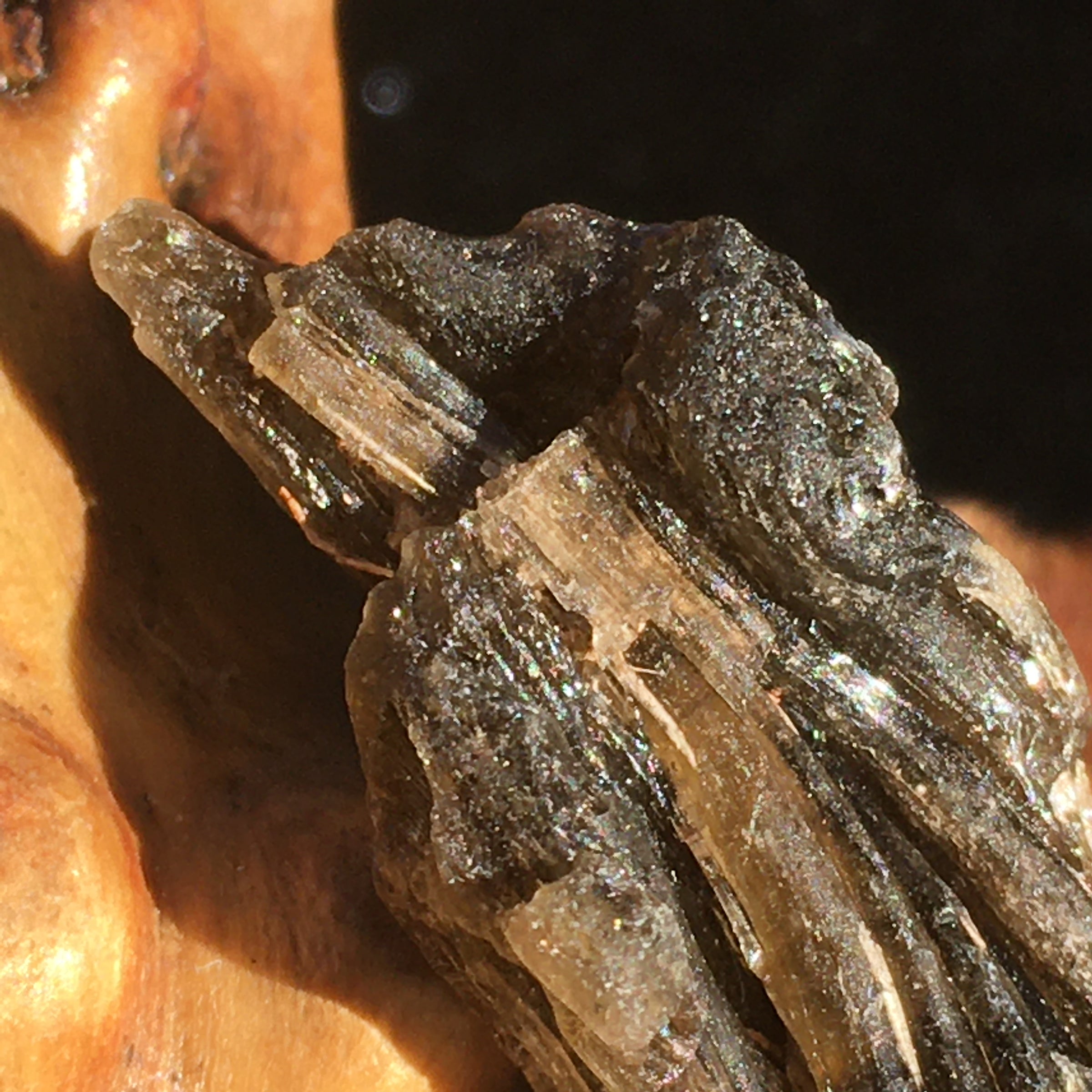 Darwinite Darwin Glass Tektite 3.4 grams-Moldavite Life