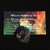 Darwinite Darwin Glass Tektite 8.2 grams-Moldavite Life