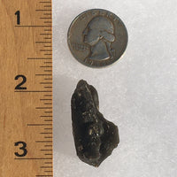 Darwinite Darwin Glass Tektite 5.3 grams-Moldavite Life