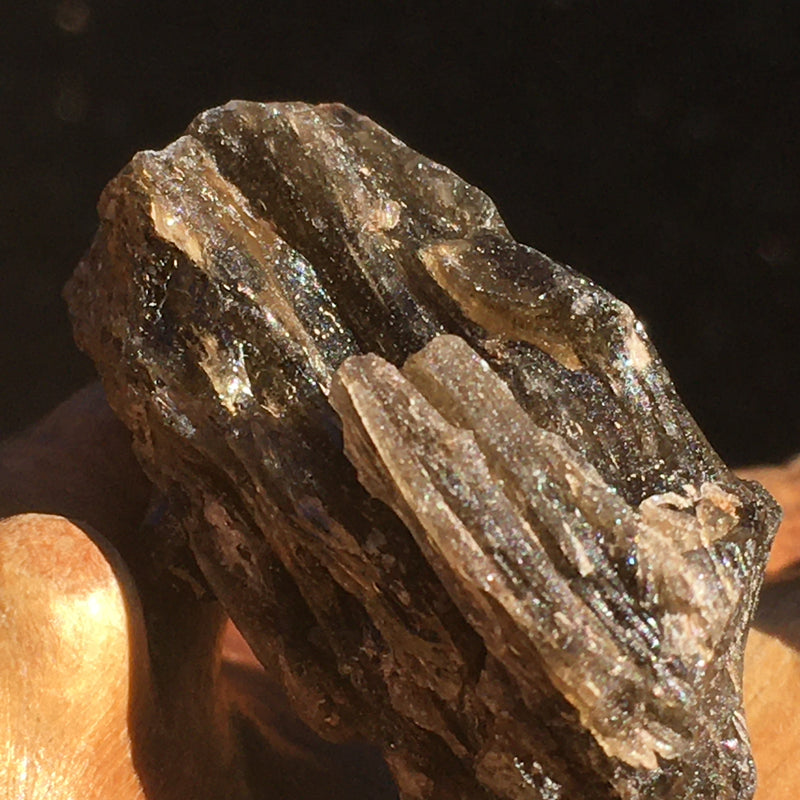 Darwinite Darwin Glass Tektite 4.3 grams-Moldavite Life