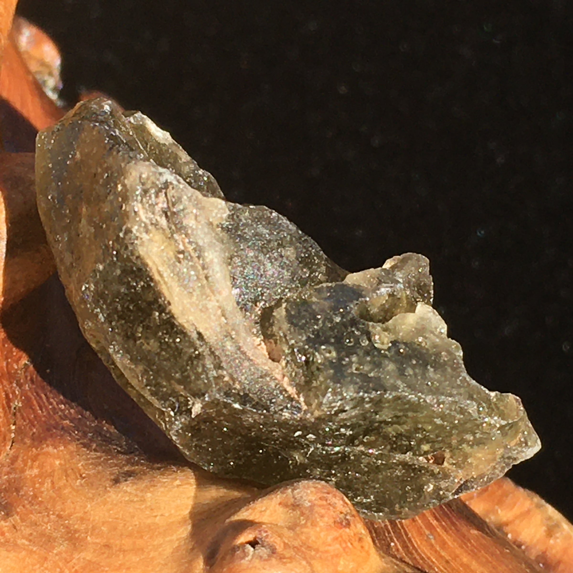 Darwinite Darwin Glass Tektite 6.5 grams-Moldavite Life