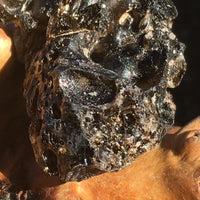 Darwinite Darwin Glass Tektite 5.5 grams-Moldavite Life
