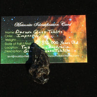 Raw Darwinite Darwin Glass Tektite 9.3 grams