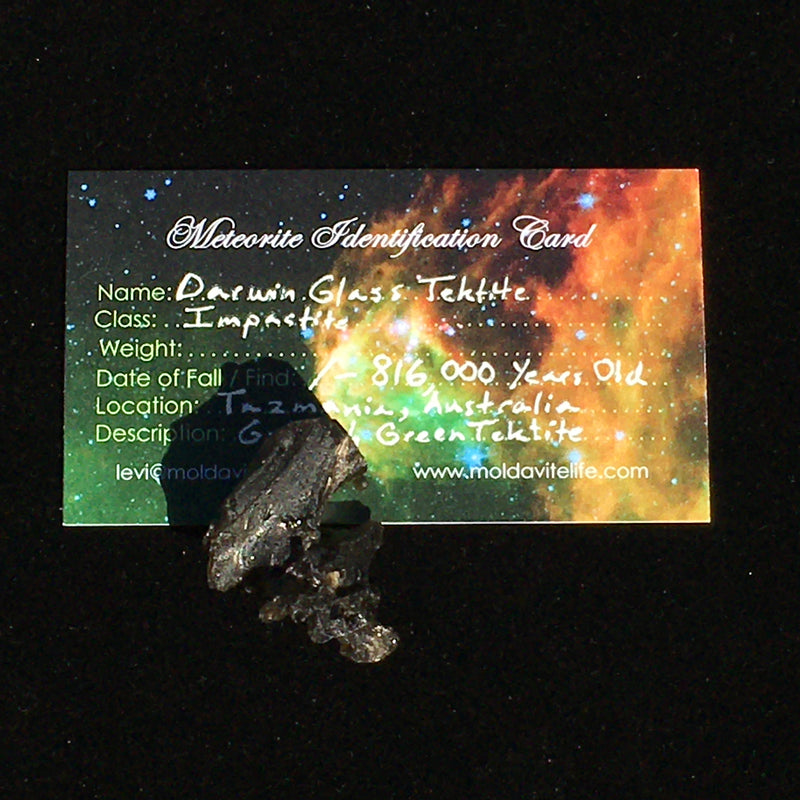 Raw Darwinite Darwin Glass Tektite 8.7 grams