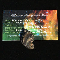 Raw Darwinite Darwin Glass Tektite 5.1 grams