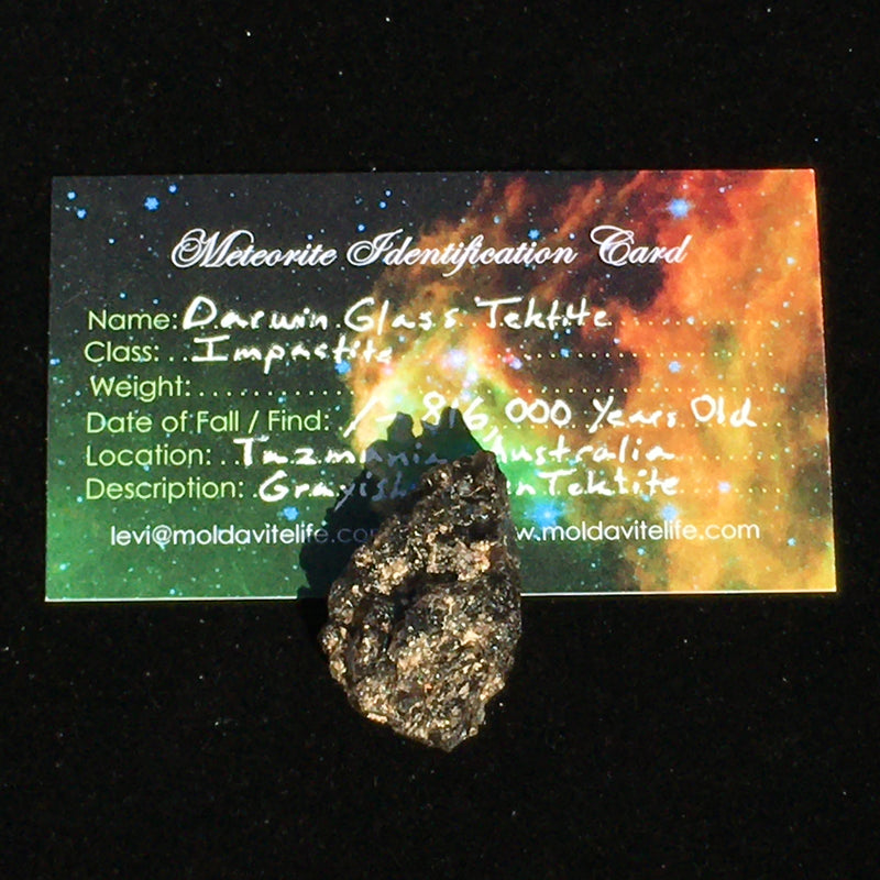 Raw Darwinite Darwin Glass Tektite 6.8 grams