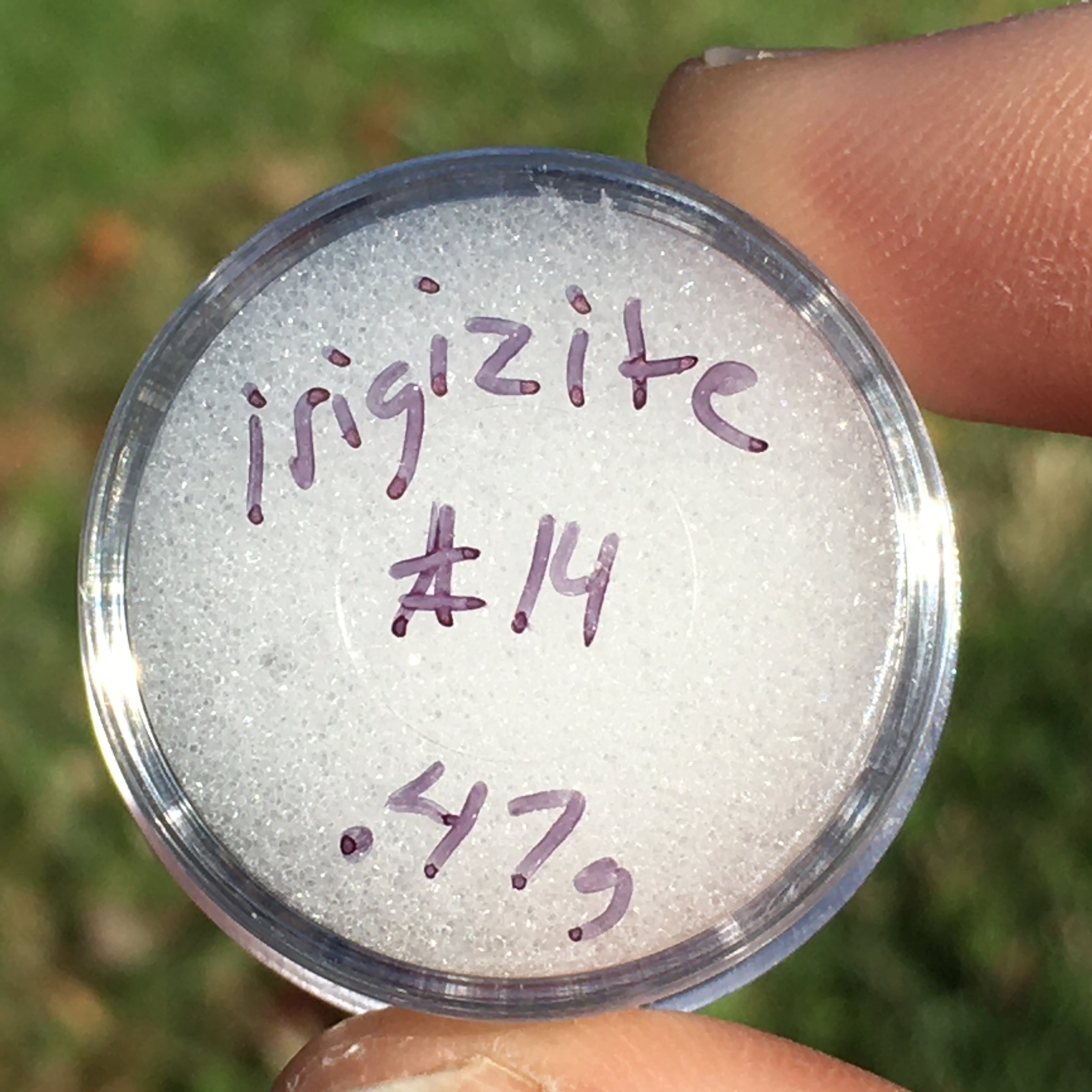 RARE Irgizite Tektite-Moldavite Life