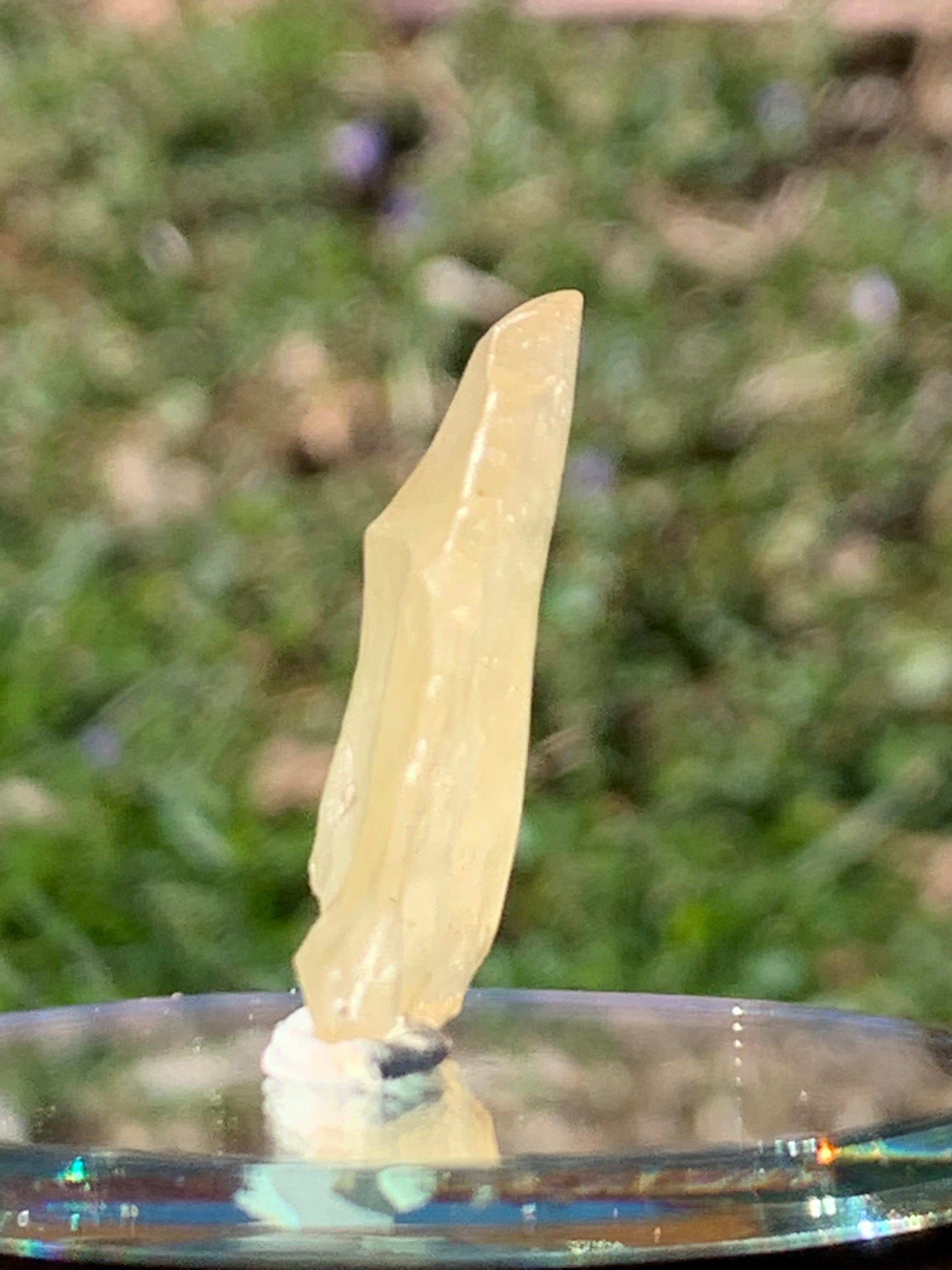 Raw Libyan Desert Glass 3.8 grams