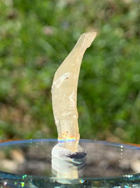 Libyan Desert Glass 2.4 grams