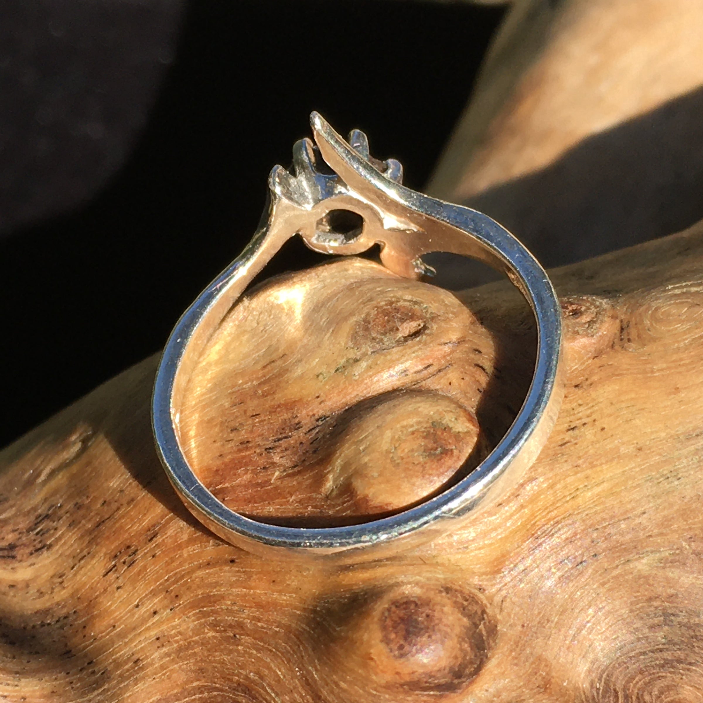 Woman's Meteorite Ring Sterling Silver Campo Del Cielo