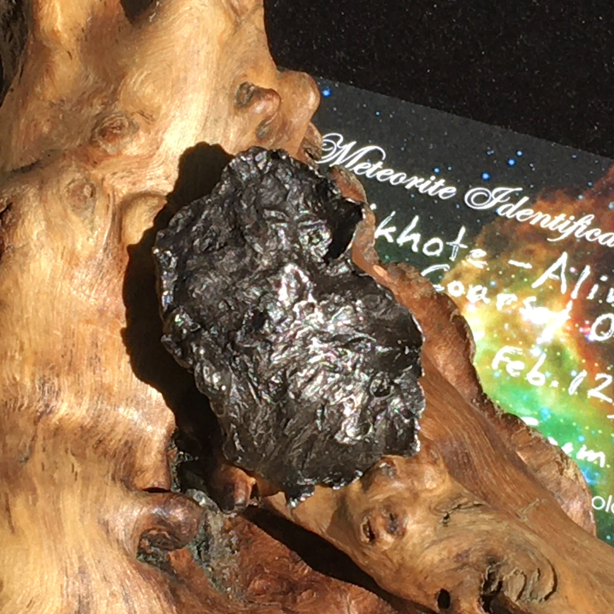 Alienite Stone Genuine Sikhote Alin Meteorite Metaphysical 1947 Observed Fall ...