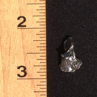 Sikhote Alin Meteorite