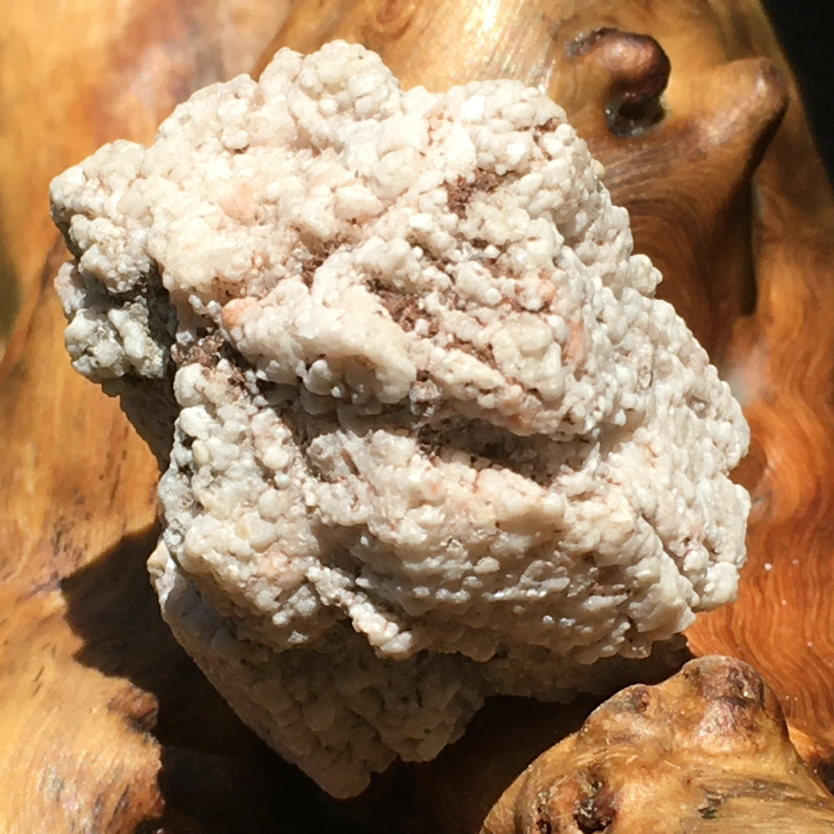 Dolomite Pseudomorph Aragonite AREA 51 Roswell Stone-Moldavite Life