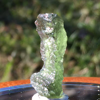 Genuine Moldavite 1.4 grams-Moldavite Life