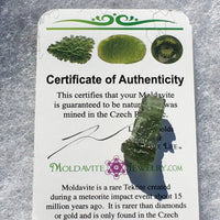 Genuine Moldavite 1.4 grams-Moldavite Life