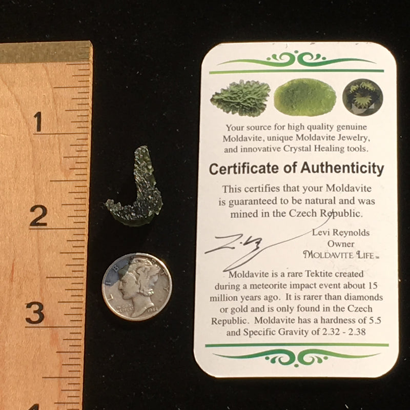 Genuine Moldavite 1.7 Grams-Moldavite Life