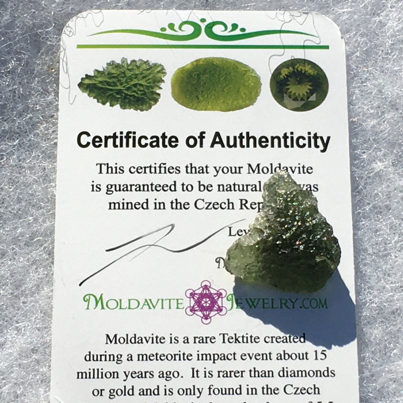 Genuine Moldavite 2.2 grams-Moldavite Life