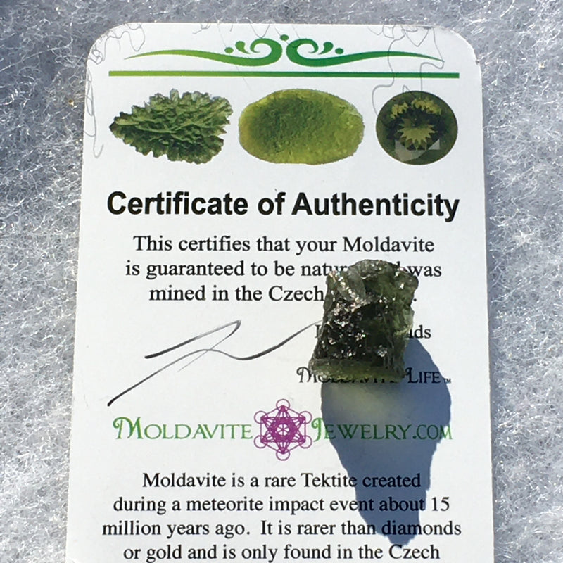 Genuine Moldavite 2.0 grams-Moldavite Life