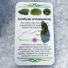 Genuine Moldavite 1.1 grams-Moldavite Life