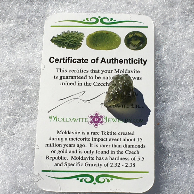 Genuine Moldavite 1.5 grams-Moldavite Life