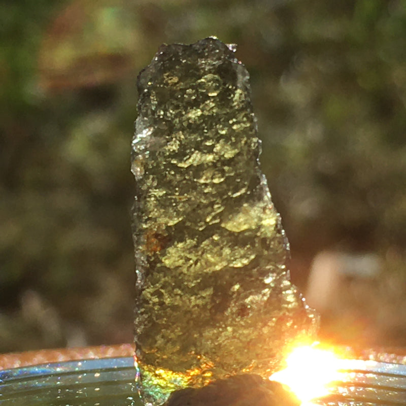 Genuine Moldavite 1.2 grams-Moldavite Life