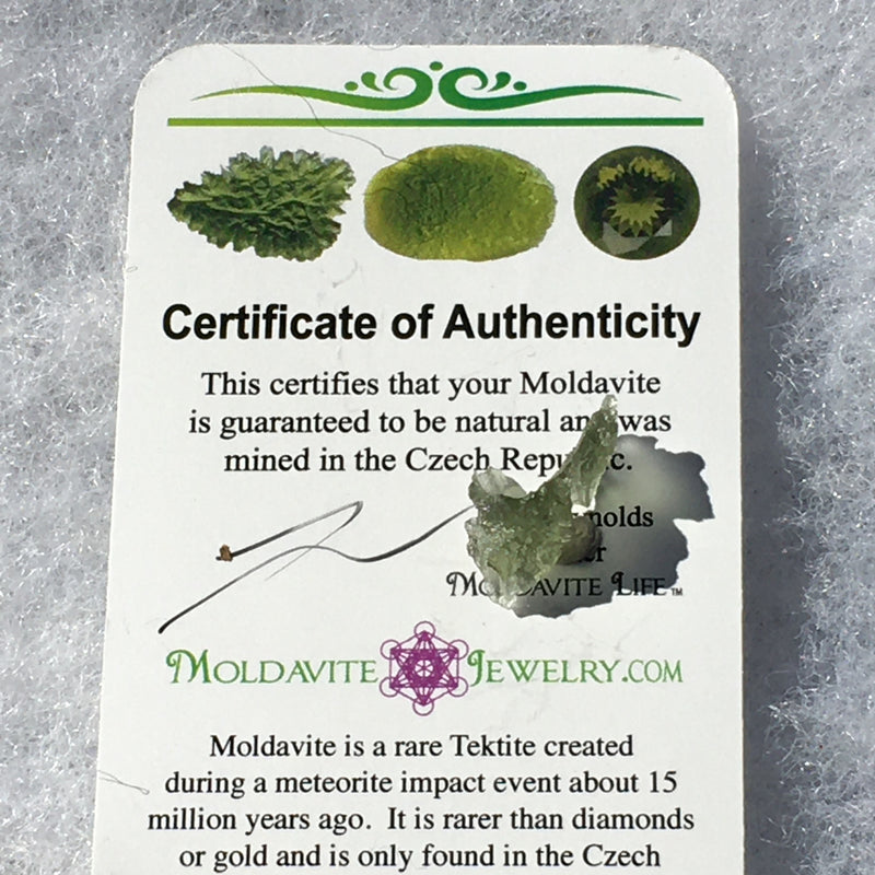 Besednice Moldavite Genuine Certified 0.5 grams-Moldavite Life