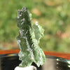 Besednice Moldavite Genuine Certified 1.1 grams-Moldavite Life