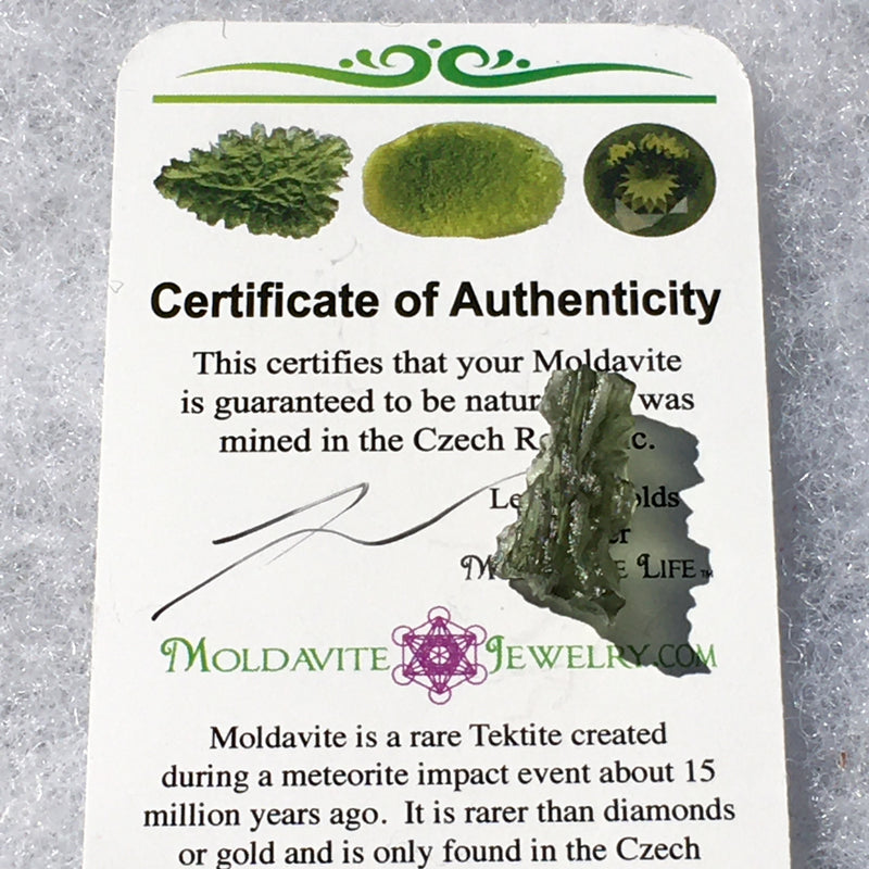 Besednice Moldavite Genuine Certified 1.1 grams-Moldavite Life