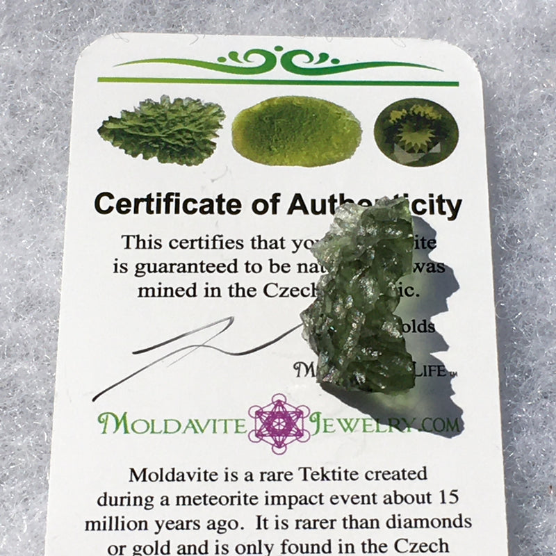 Besednice Moldavite Genuine Certified 1.9 grams-Moldavite Life