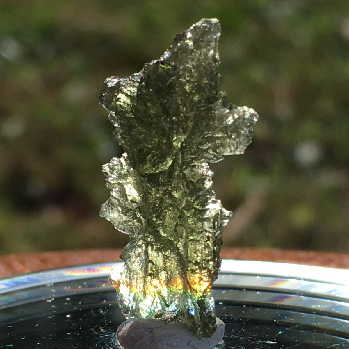 Besednice Moldavite Genuine Certified 1.1 grams-Moldavite Life