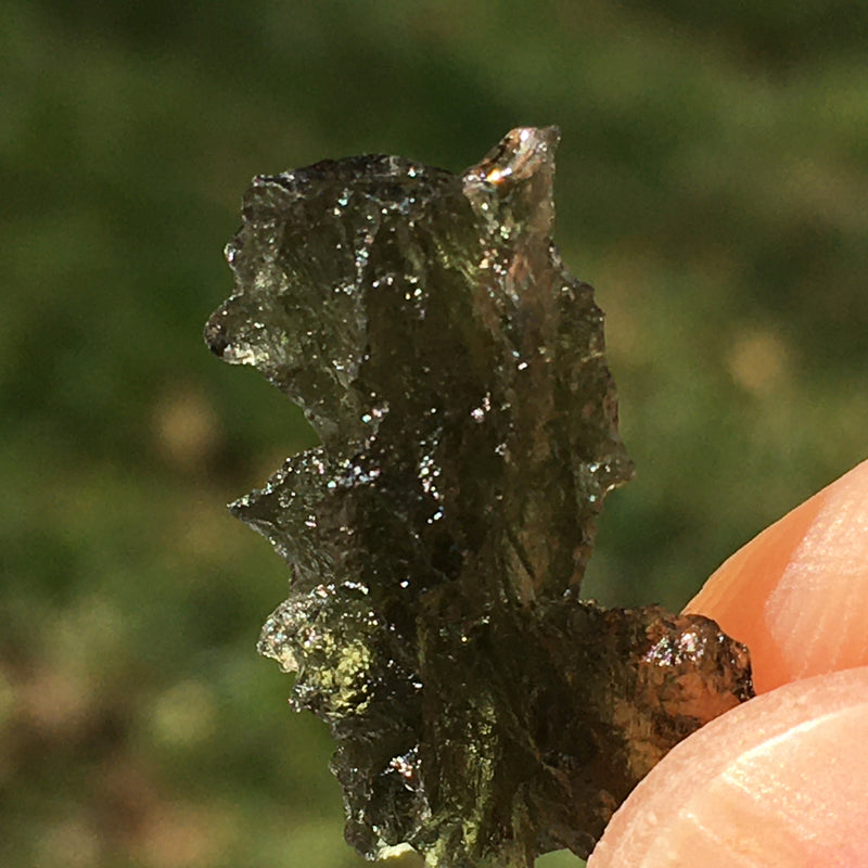 Besednice Moldavite Genuine Certified 1.1 grams-Moldavite Life