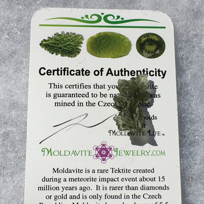 Besednice Moldavite Genuine Certified 1.1 grams-Moldavite Life