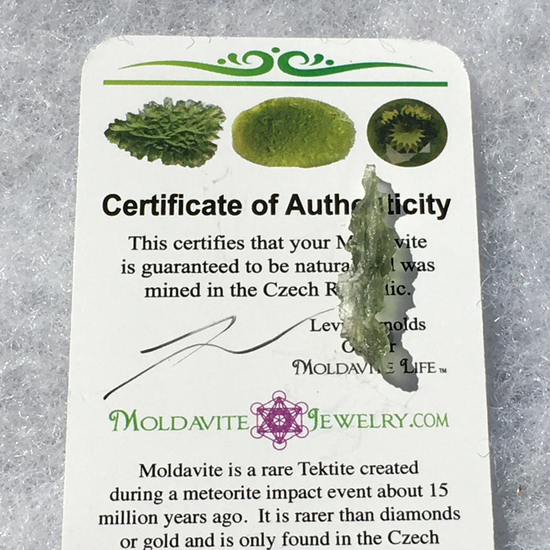 Besednice Moldavite Genuine Certified 0.4 grams-Moldavite Life