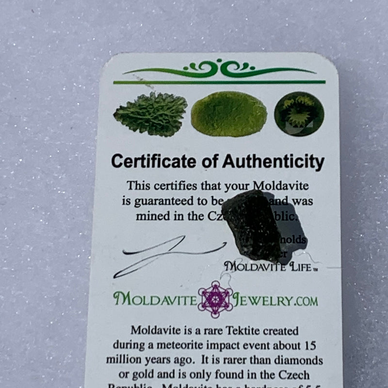 Moldavite Genuine Certified Czech Republic 1.6 grams