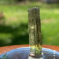 Moldavite Genuine Certified Czech Republic 2.4 grams