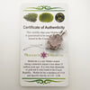 Crystallized Rose Quartz & Moldavite Necklace Sterling #1